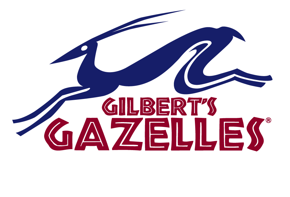Gilbert's Gazelles Youth Summer Camp camp photo