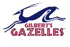 Gilbert's Gazelles Youth Summer Camp activity photo 2