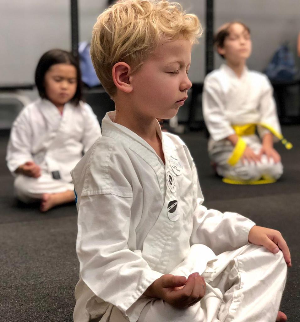 Kula Karate Summer Camps at WAYA activity photo 2
