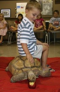 NW Austin Summer Art Camps activity photo 3
