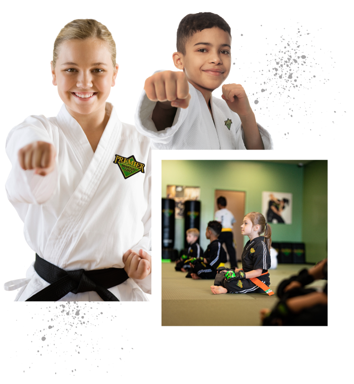 Premier Martial Arts Camps activity photo 3